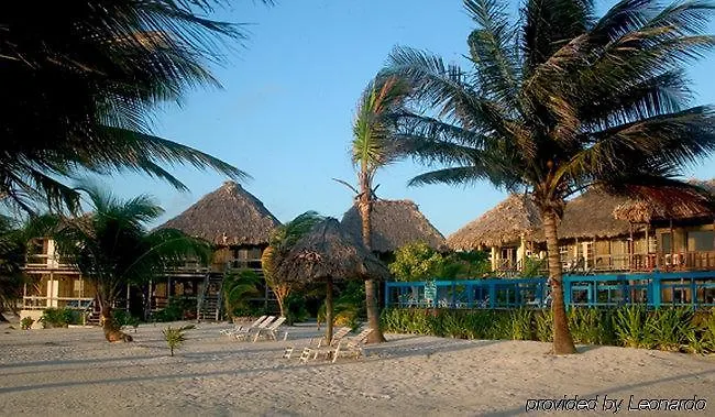 Exotic Caye Resort San Pedro (Ambergris Caye)